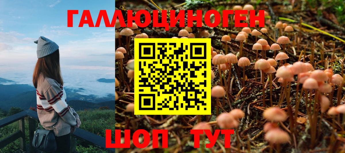 Ефремов  Псилоцибиновые грибы GOLDEN TEACHER  где продают наркотики  Вход с VPN  Псилоцибиновые грибы MAGIC MUSHROOMS 